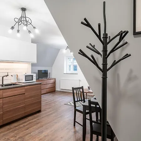 Apartament ✰mansarda Na Białoskórniczej✰5 Minut Od Rynku *